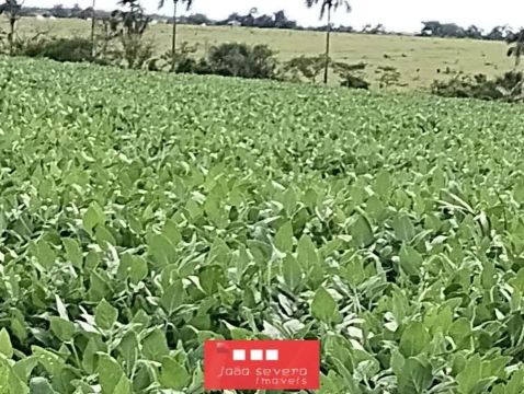 Fazenda para Venda em Rosário Oeste