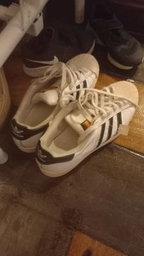 Tênis Adidas Superstar Branco