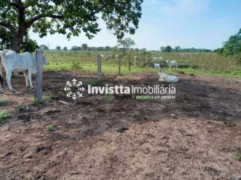 Fazenda Residencial à venda, Centro, Cristalândia - FA0439.