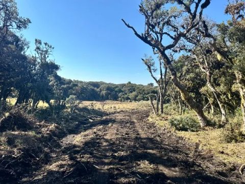 Chácara de 2,5 hectares na localidade de Mundo Novo, Urubici-SC