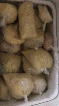 Vendo polpa de fruta 