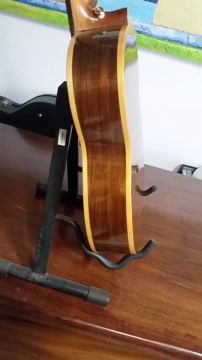 viola
