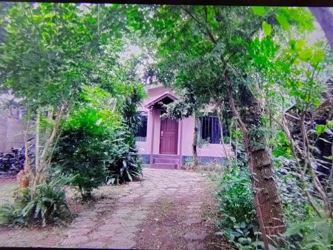 Kitinete Curitiba, aconchegante em meio à natureza