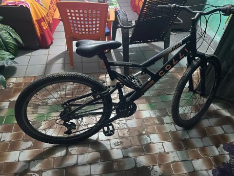 Bicicleta 