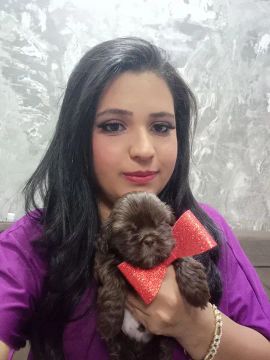 Shih Tzu  mini  com olhos verdes ? puro 