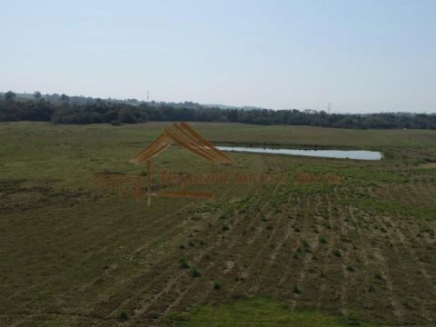 Fazenda com 80 alqueires
