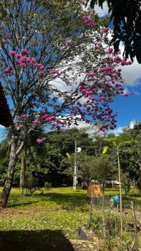 Chácara com 6,8 hectares no DF