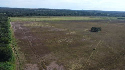 FAZENDA .