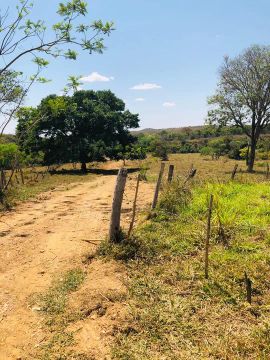 Chácaras de 20.000 (2 hectares) em Cordisburgo - R$ 17.950,00 + parcelas (LFC80)..