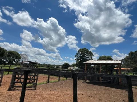 FAZENDA DE 660 HECTARES EM SÃO DESIDÉRIO-BAHIA