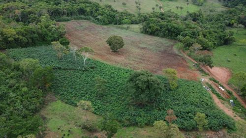 Imóvel para venda possui 180000 metros quadrados em Centro - Itaguara - MG