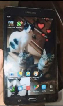Samsung Galaxy Tab 2 10.1 - Usado