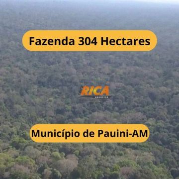 Fazenda à venda, com 304 hectares no município de Pauini/AM