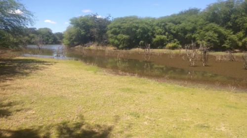 FAZENDA A 5 KM DA CIDADE: 130 HECTARES