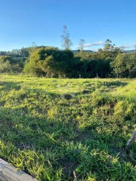 Terreno Quatro Colônias Campo Bom