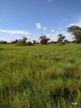 Fazenda à venda, AREA RURAL LUCIARA - MT - Luciara/MT