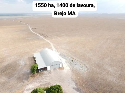 Fazendas no Maranhão/Piauí (Baixo Parnaíba)