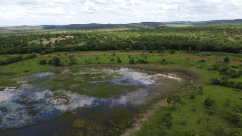 Fazendinhas Planas com Terra de Cultura na Região de Sete Lagoas
