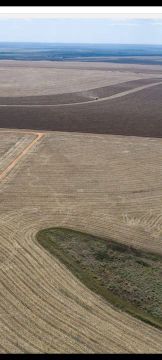 Fazenda De 5.000 hec. nova Maringá MT. Planta 3 mil hect. 150 milhões<br>3.000 hc (plantio)