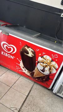 Geladeira Expositora Kibon 470 L