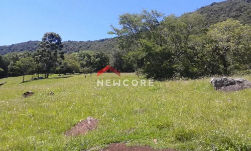 Lote em Estrada cruzinha - Cruzinha - São Francisco de Paula/RS