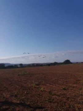 Lote Caldas Novas