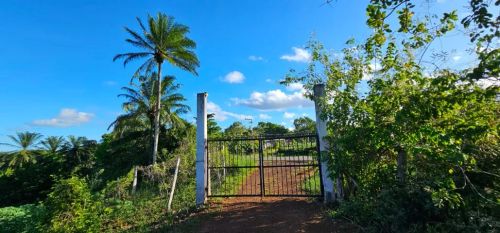 Fazenda Boa Esperança com 56.000 ²