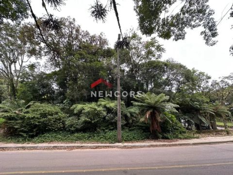 Lote em Rua dos Pinheiros - Alpes Verdes - Canela/RS