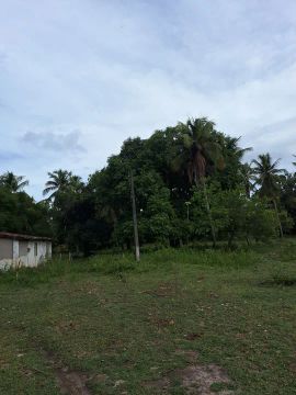 Chácara lagoa mundau, com área verde em local tranquilo