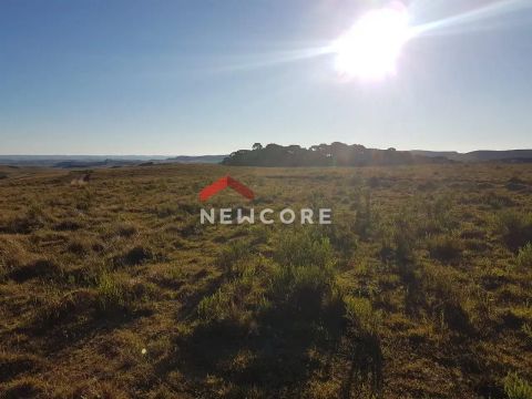 Lote em Estrada Décio Ramos - Cazuza Ferreira - São Francisco de Paula/RS