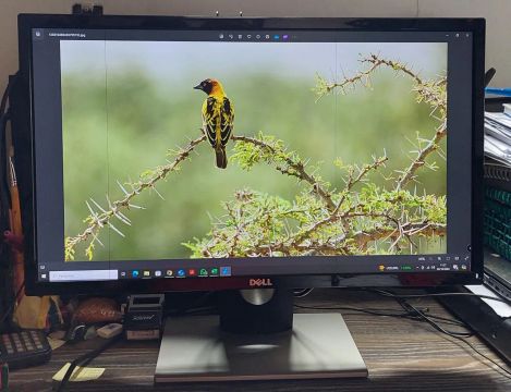 "monitor dell 24 polegadas" - Monitores no Brasil