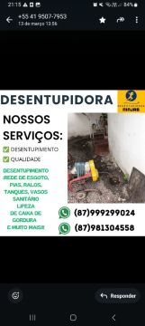 desentupidora ninjas