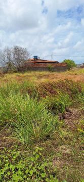 Terreno em Catuama - Ótima Oportunidade!