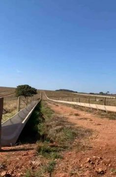 Fazenda 1.160 hec confinamento e Pecuária em primavera do leste MT.