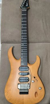Guitarra Cort Viva Gold II