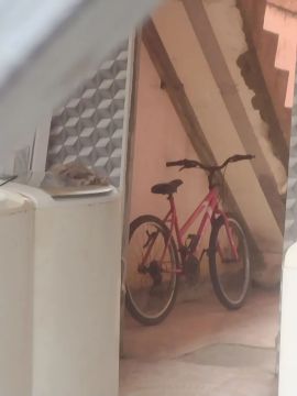 Bicicleta de adulto com marcha