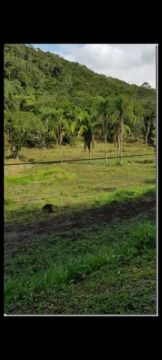 Terreno para permuta em Balneário Camboriú! Confira!
