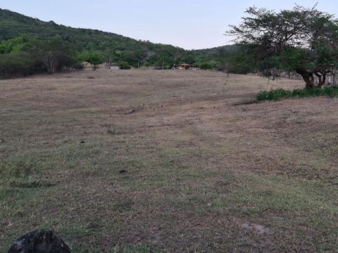Sitio para venda com 15 tarefas, poço artesiano, em Palmeira de Fora - Palmeira dos Índios