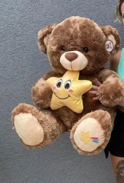 Urso de Pelúcia Marrom com Estrela