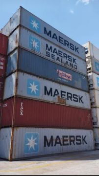 Container marítimo 