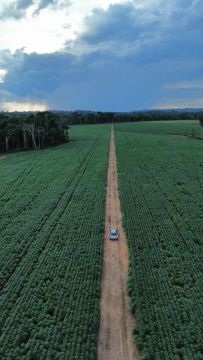 Fazenda arrendamento 500hc em Apiacás MT. Grade na descrição 