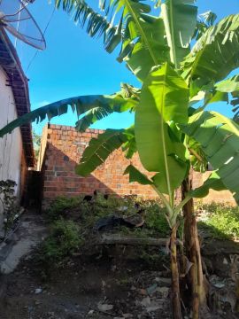 Vende se terreno