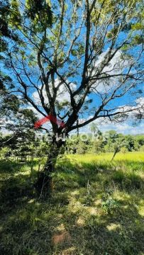Sítio em Estrada Municipal de Caetetuba - Caetetuba - Atibaia/SP