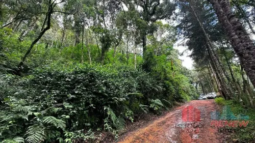 Terreno à venda Monte Verde em Camanducaia