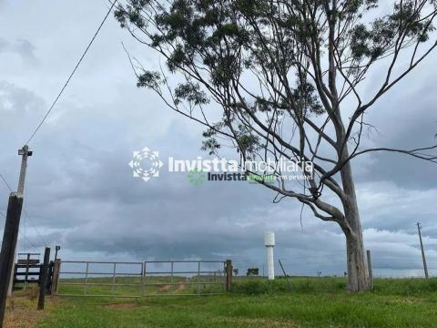 Fazenda Rural à venda, Centro, Campo Grande - FA0517.
