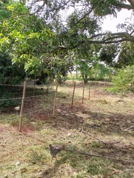 Terreno 650m barreiro taubate
