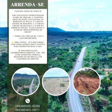 ARRENDA-SE FAZENDA GRÃO DE OURO