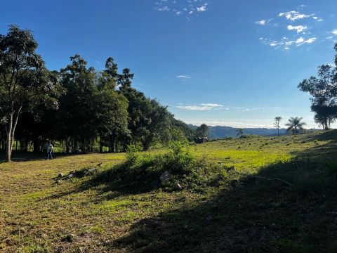 Maravilhosa área de terra em Pinto Bandeira!
