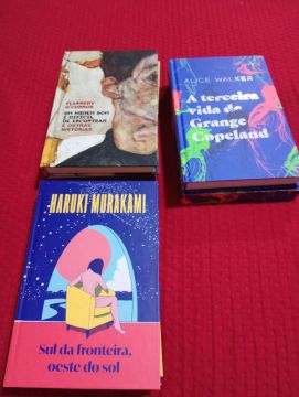 Livros em ótimo estado - Frete Grátis!