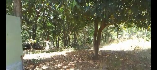 Vendo terreno no alto da conquista , Olinda 45mil!